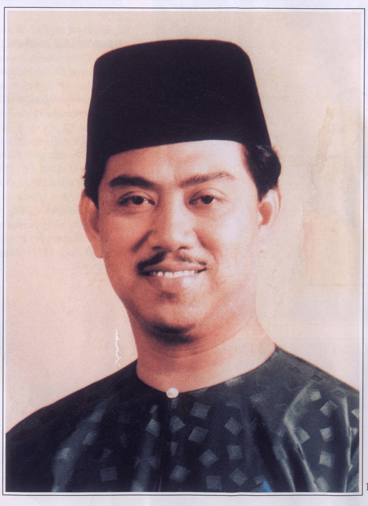 Menteri Besar Ke-13,Tan Sri Muhyiddin Yassin 
(12 Ogos 1986 - 3 Mei 1995)
